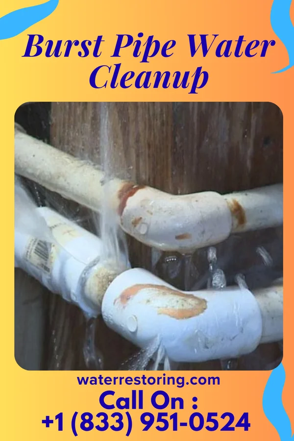 Burst Pipe Water Cleanup in Jamesburg, NJ