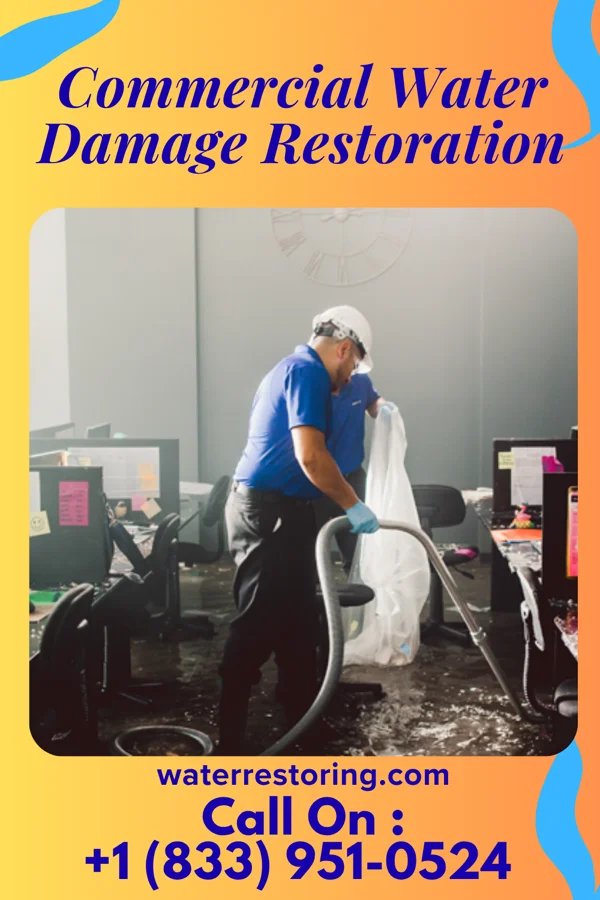 Commercial Water Damage Restoration in Jamesburg, NJ
