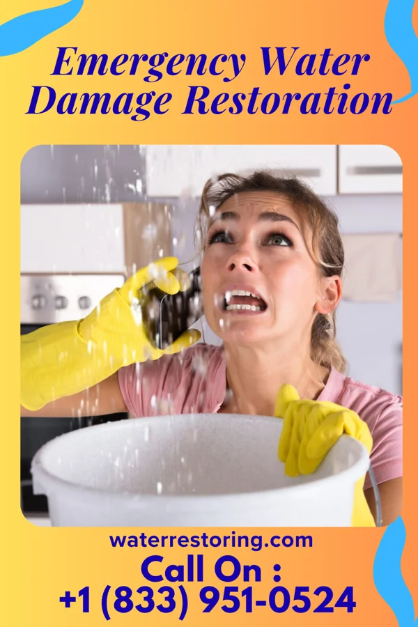 Emergency Water Damage Restoration in Jamesburg, NJ